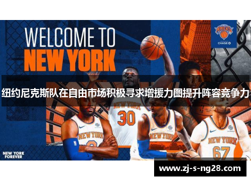 纽约尼克斯队在自由市场积极寻求增援力图提升阵容竞争力