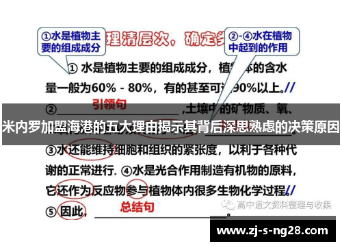 米内罗加盟海港的五大理由揭示其背后深思熟虑的决策原因